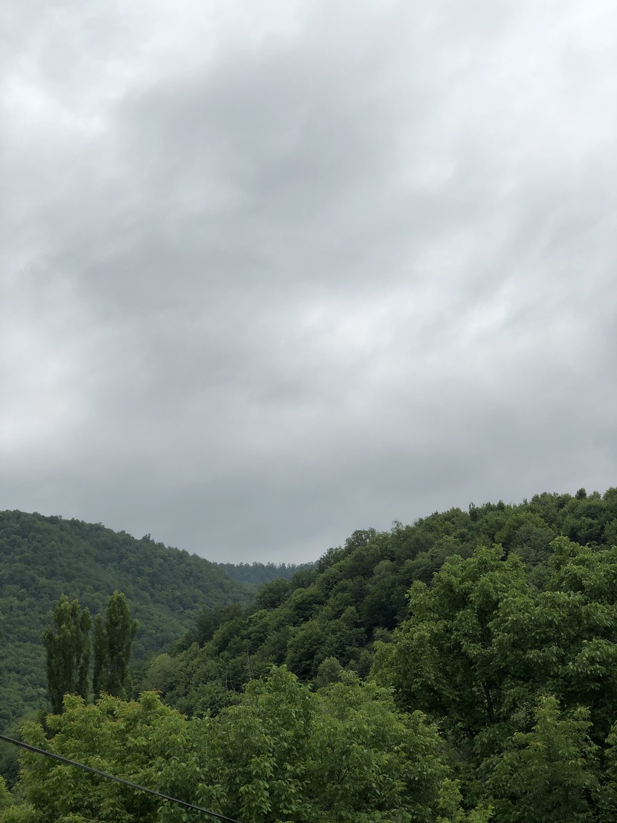 Դեբեդ
