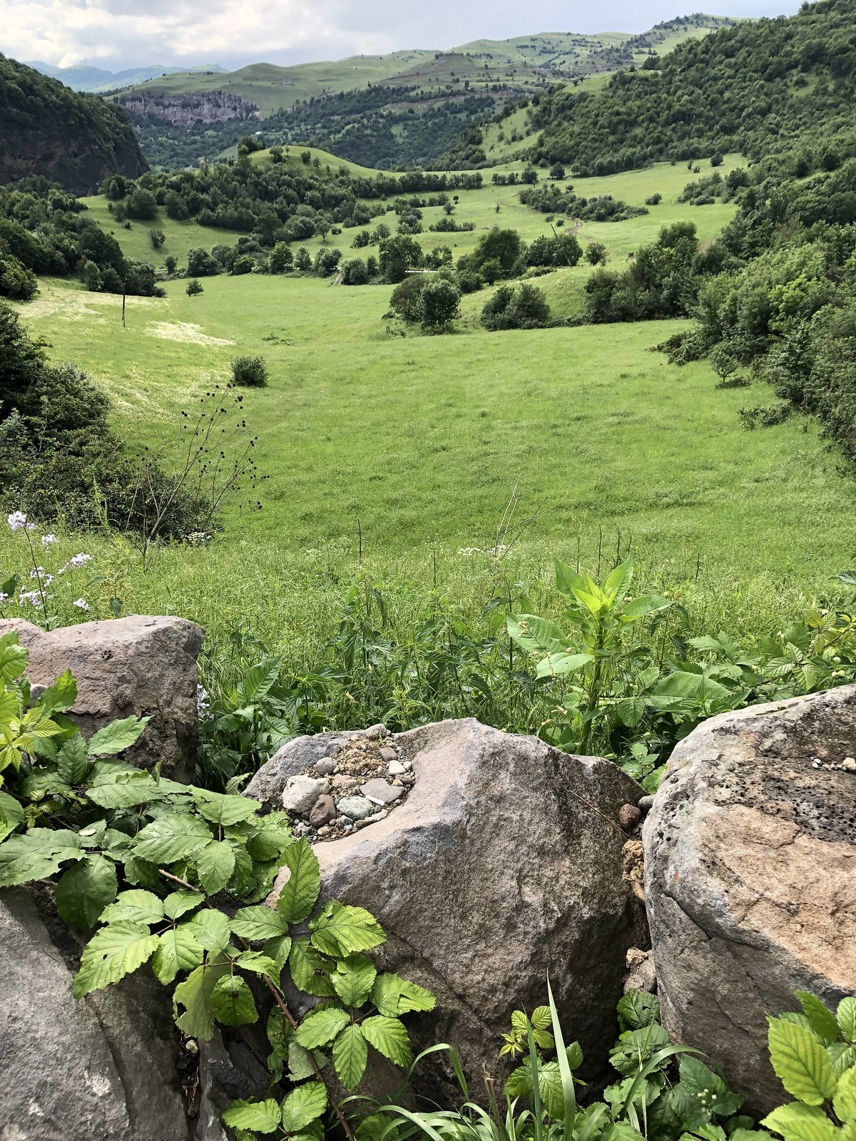 Դեբեդ