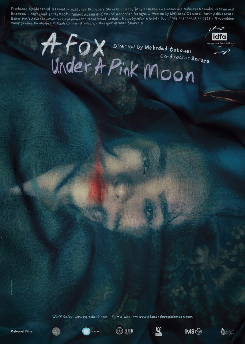 A Fox Under a Pink Moon