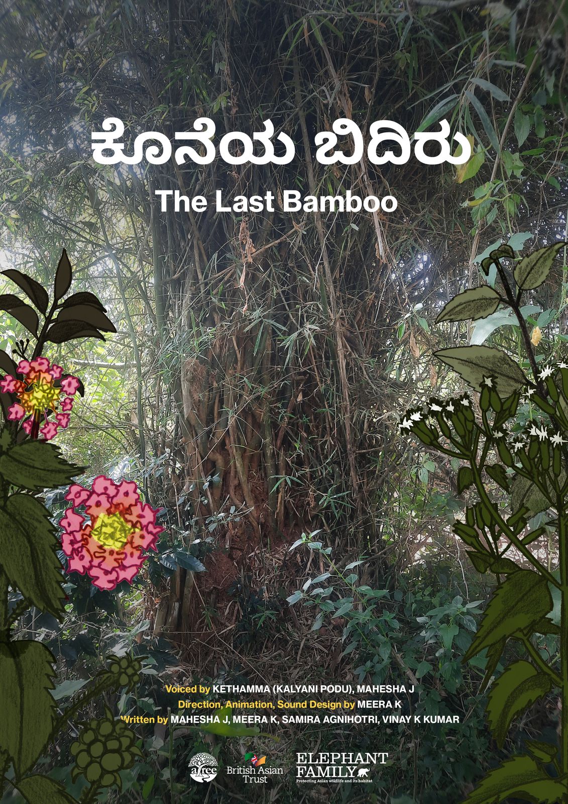The Last Bamboo